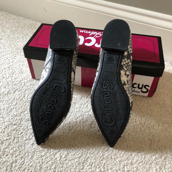 Circus by Sam Edelman Snake Skin Shoes Size 6 - Picture 3 of 3